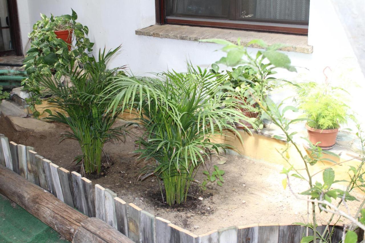 Casa Rural Los Pepe Sancti Petri Chiclana de la Frontera Εξωτερικό φωτογραφία